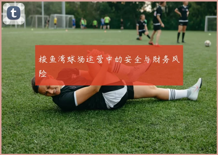 梭鱼湾球场运营中的安全与财务风险