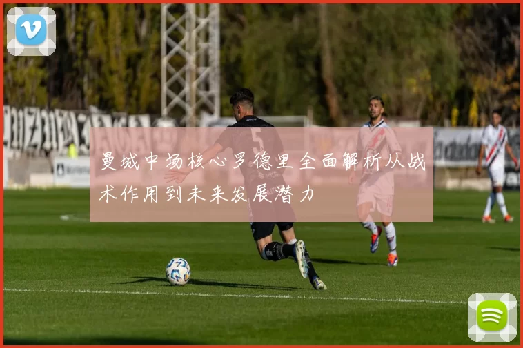 曼城中场核心罗德里全面解析从战术作用到未来发展潜力