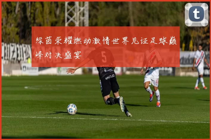 绿茵荣耀燃动激情世界见证足球巅峰对决盛宴