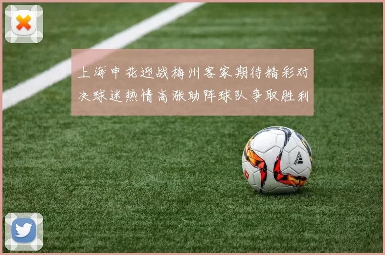 上海申花迎战梅州客家期待精彩对决球迷热情高涨助阵球队争取胜利