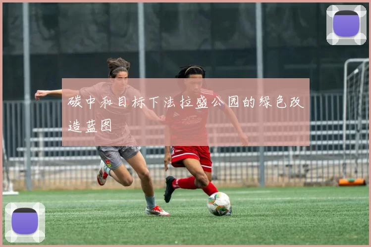 碳中和目标下法拉盛公园的绿色改造蓝图