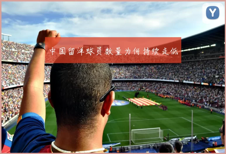 中国留洋球员数量为何持续走低