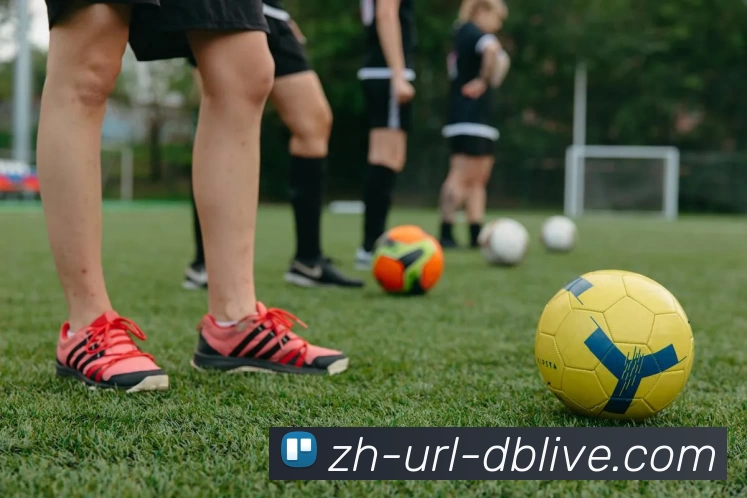 db真人APP 封面图